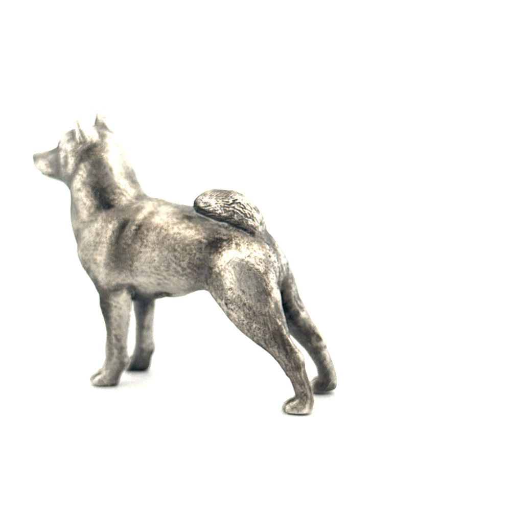 Shiba