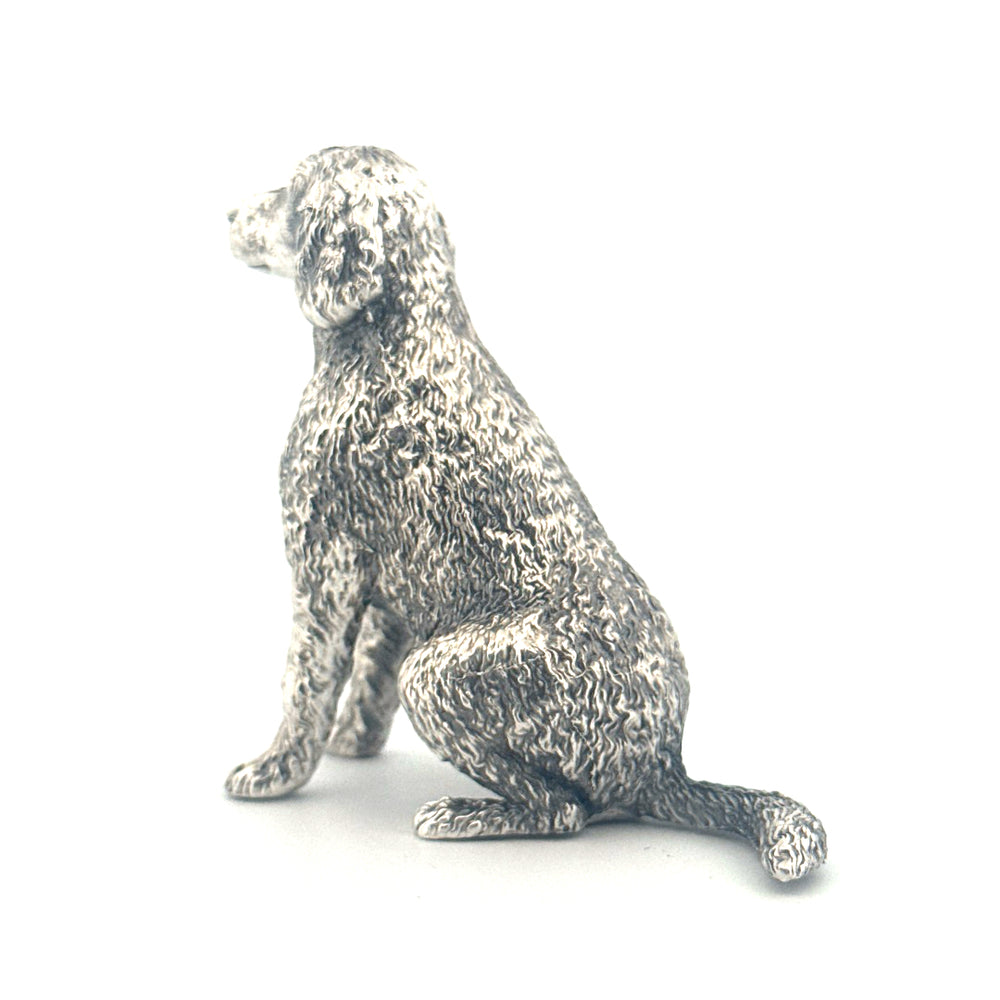 Labradoodle