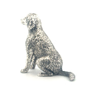 Labradoodle