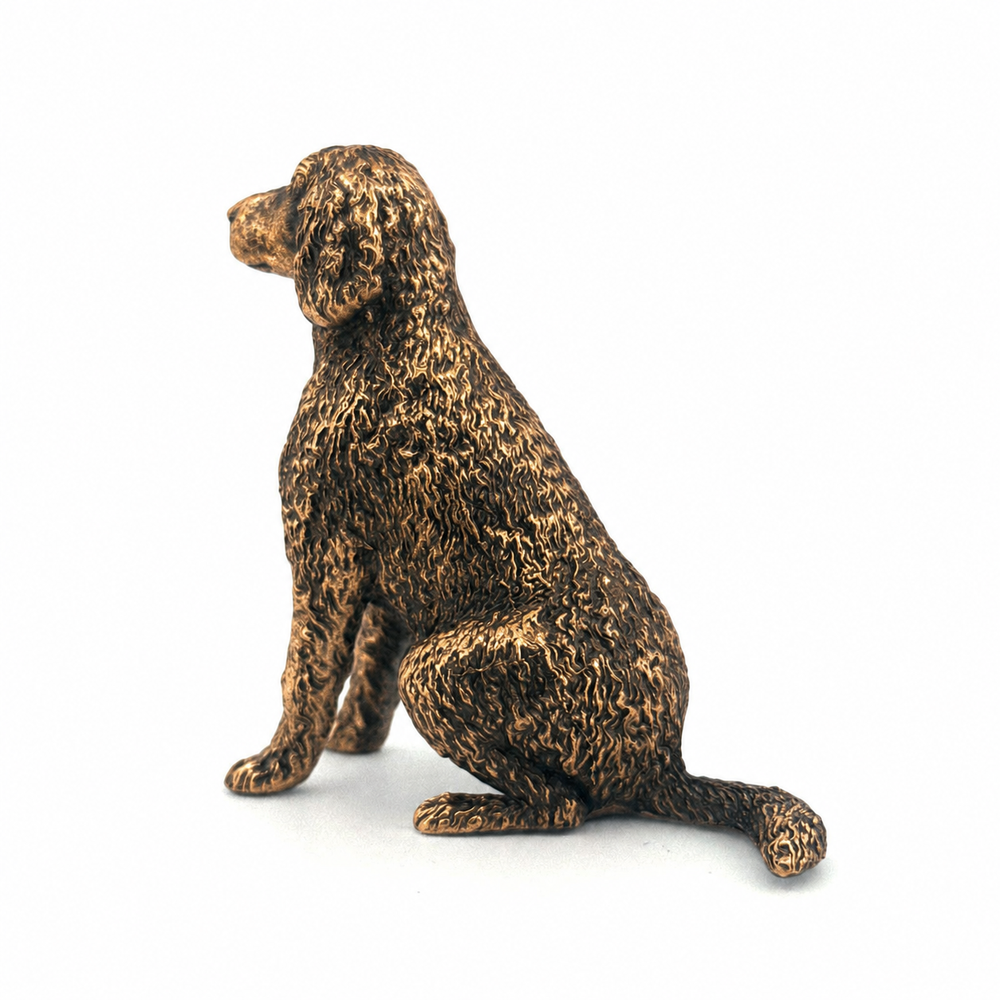 Labradoodle