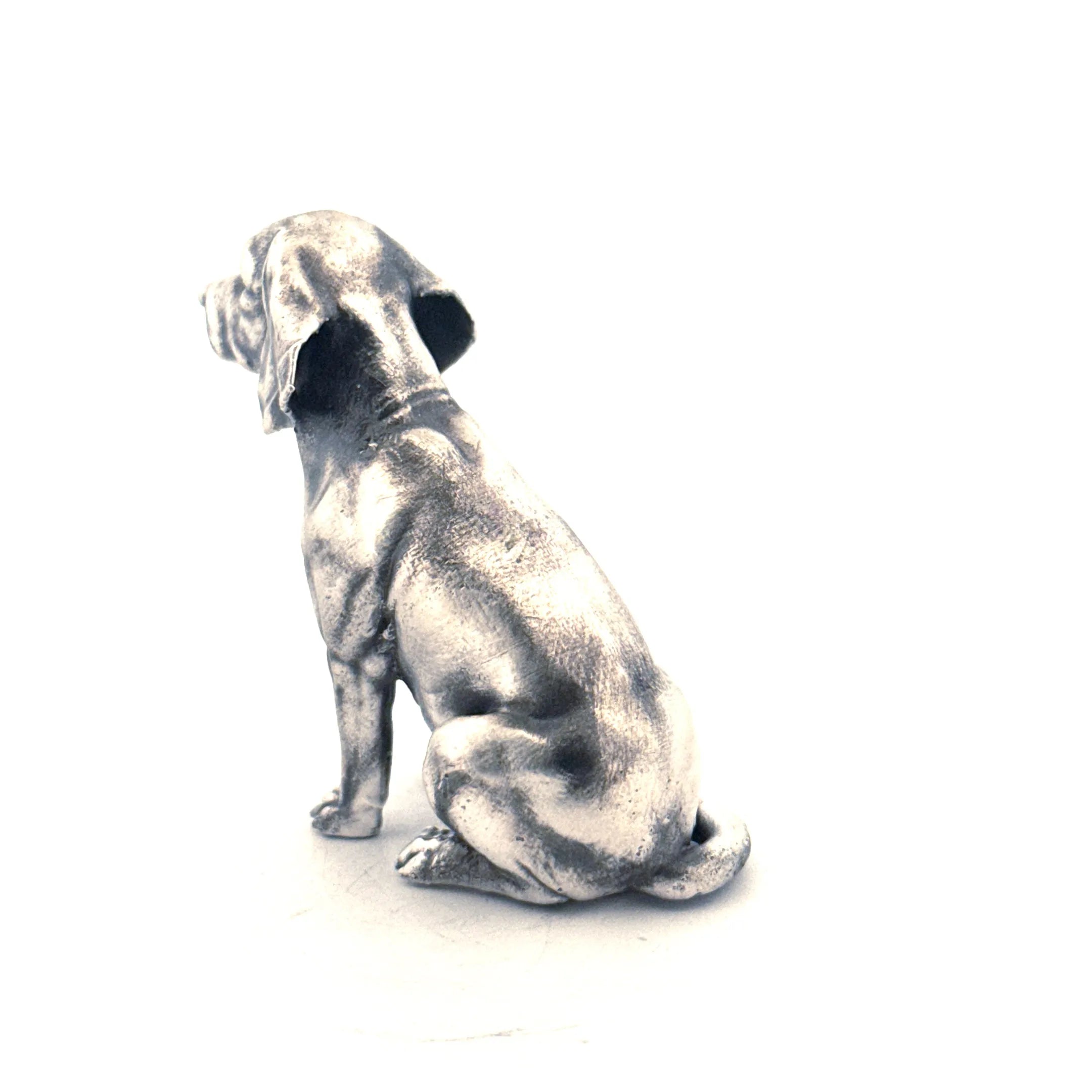 Beagle