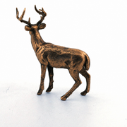 White Tailed Deer