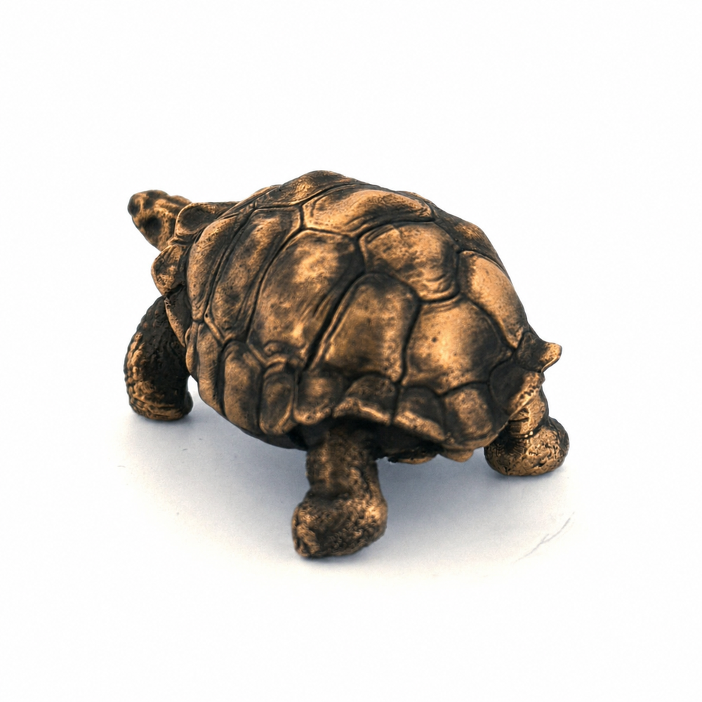 Galapagos Tortoise