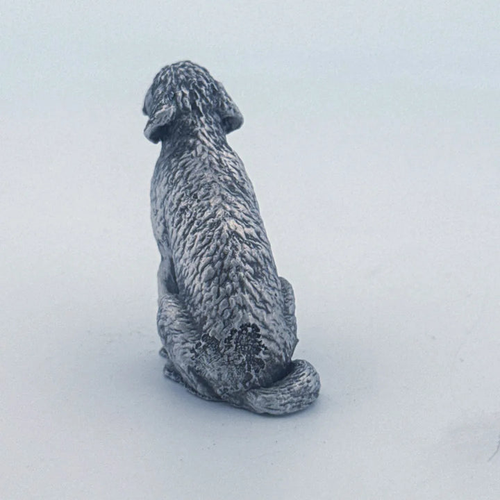 Golden Doodle