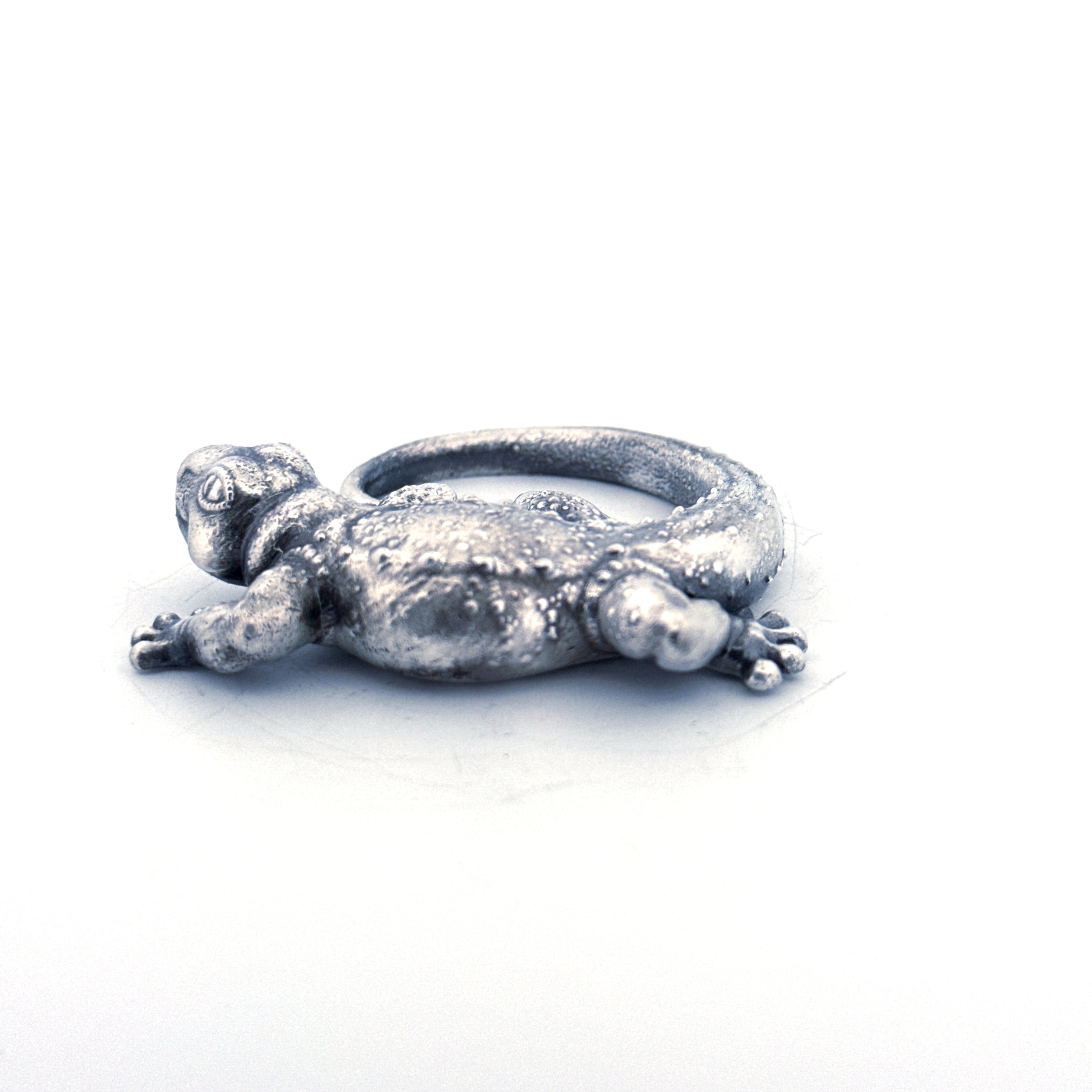 Silver Gecko