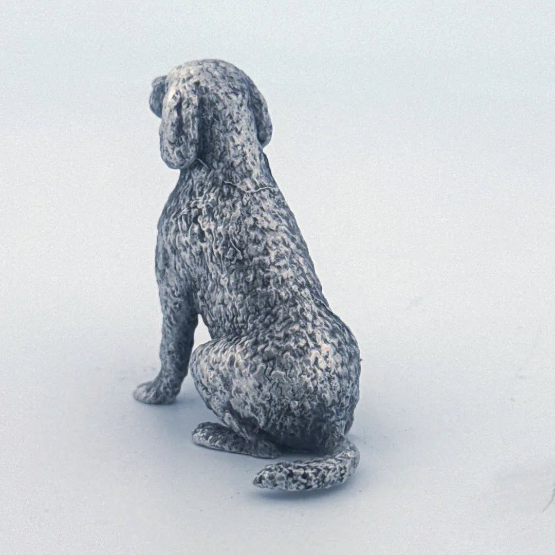 Labradoodle