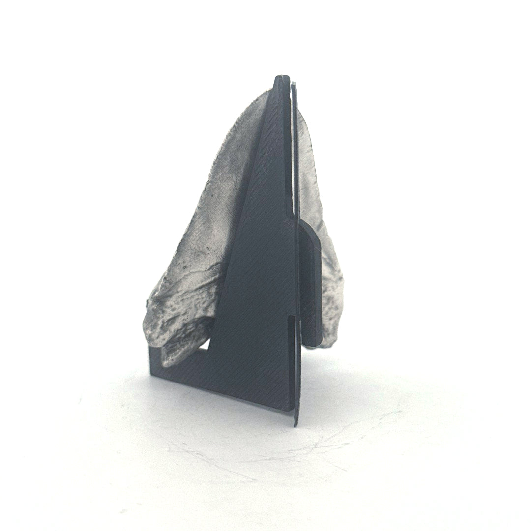 Shark Tooth