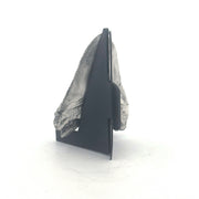 Shark Tooth