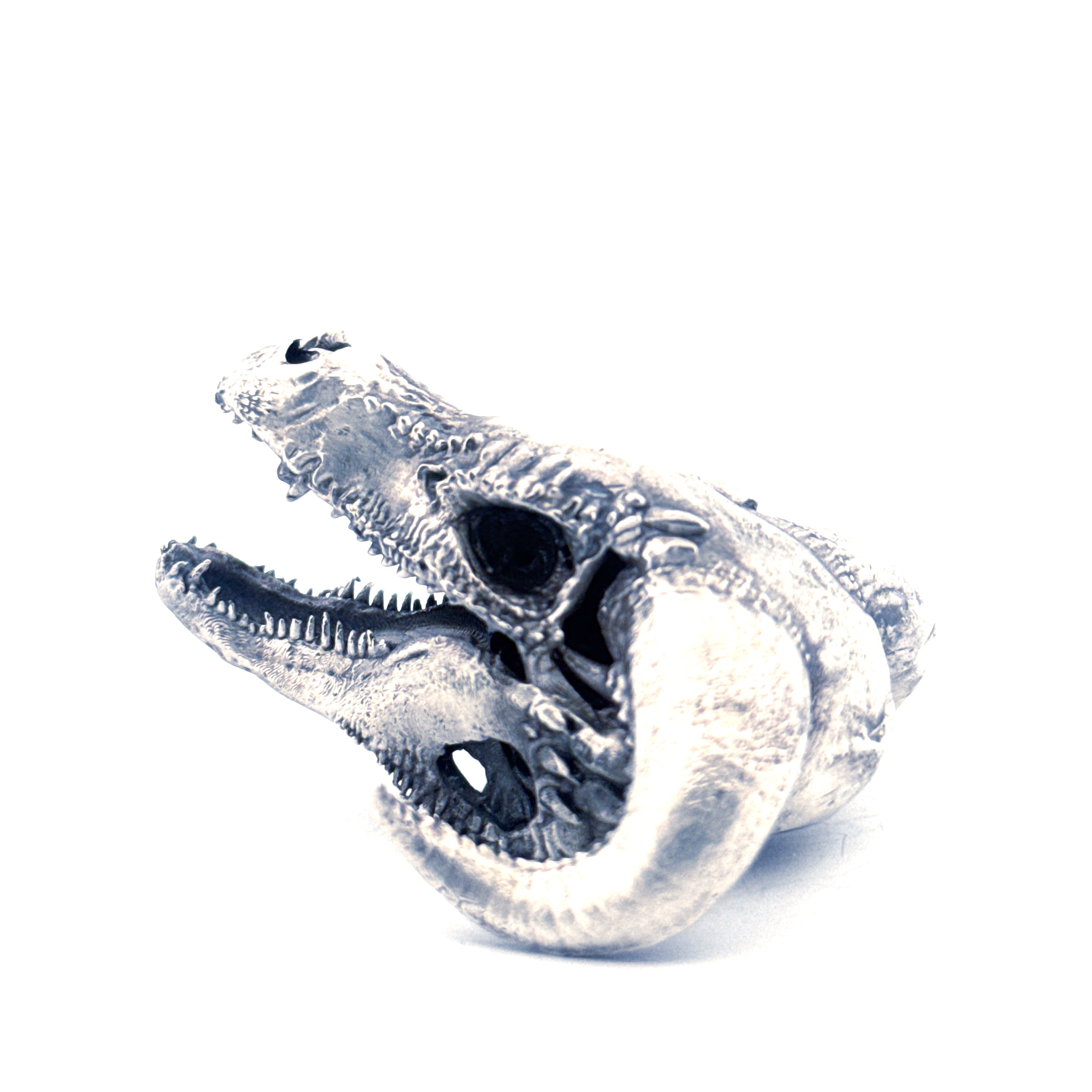 Dragon Skull