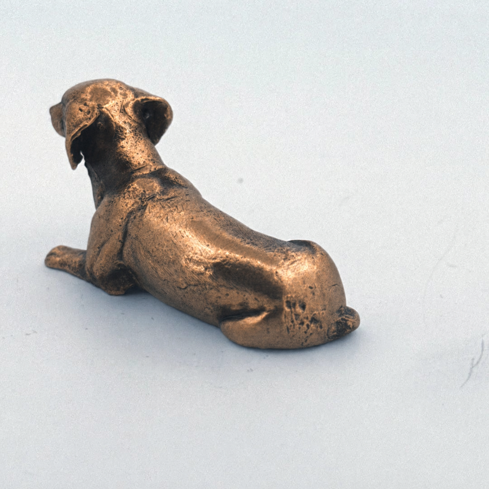 Dachshund