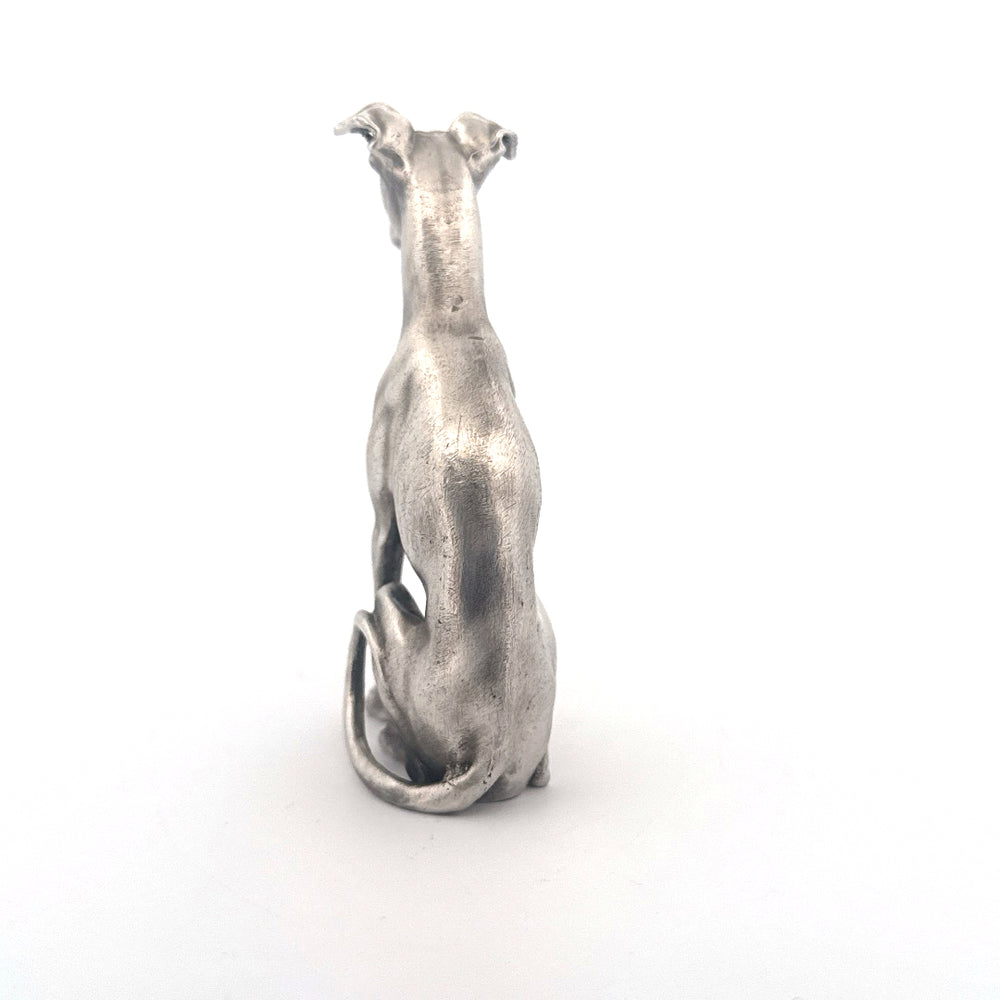Whippet