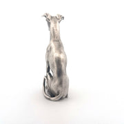 Whippet