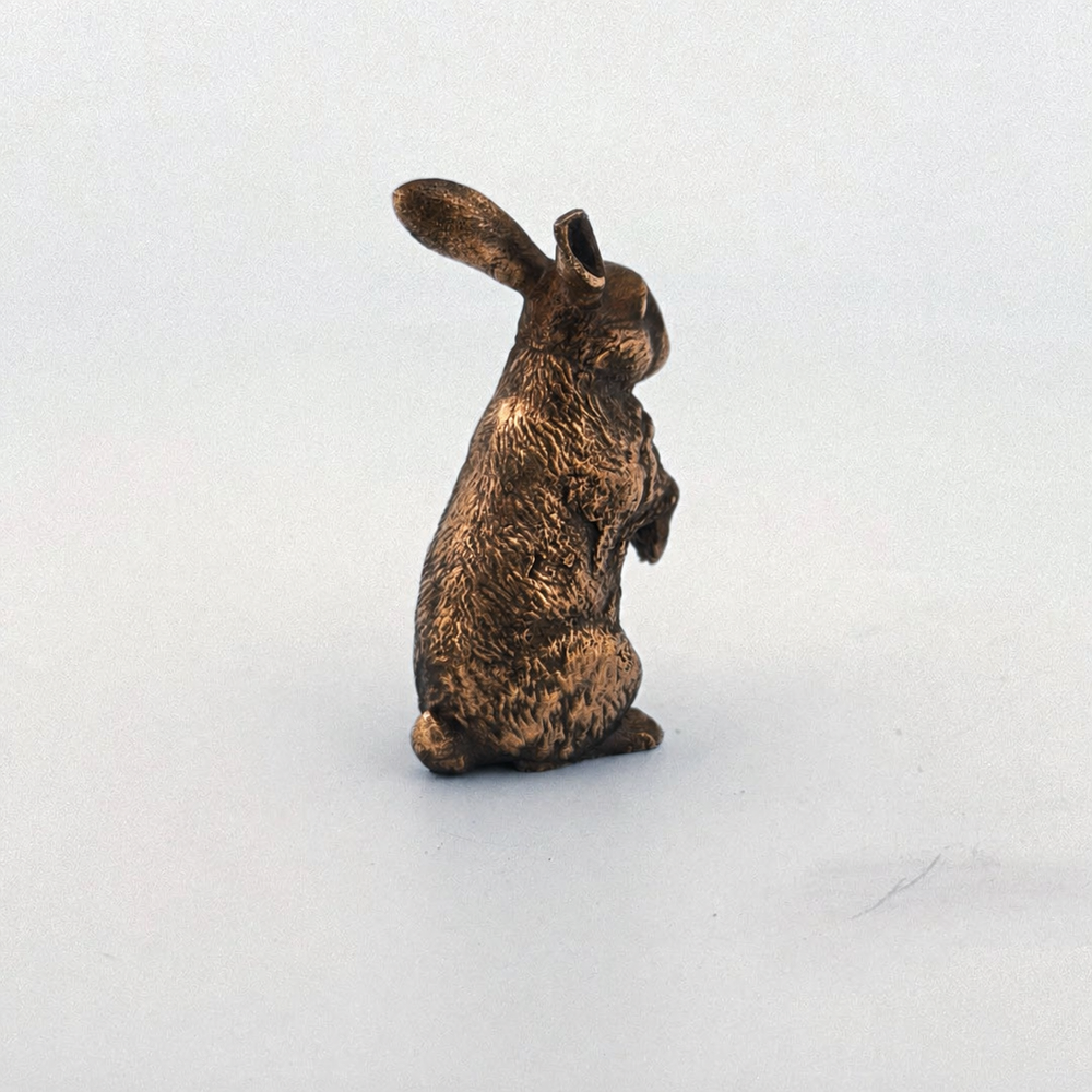 Bunny Rabbit
