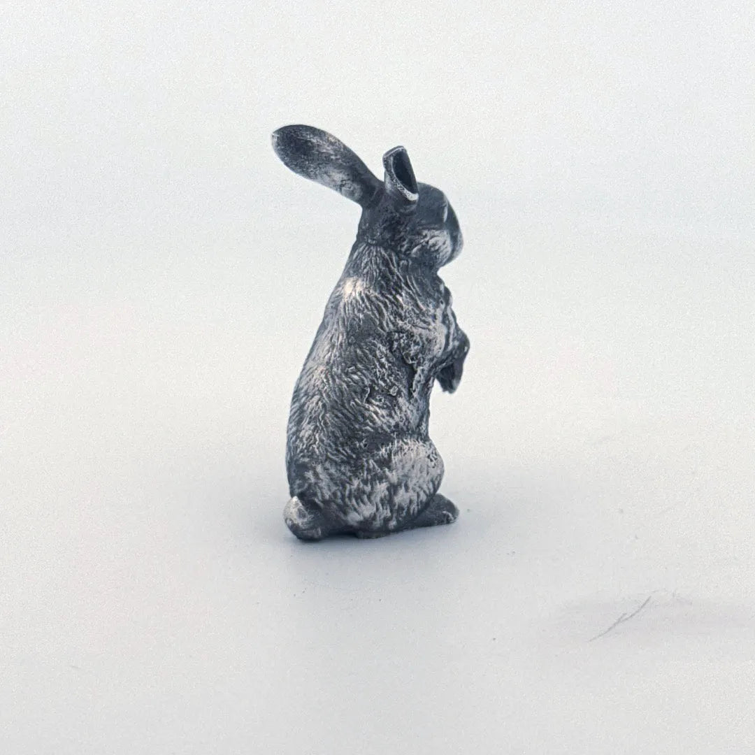 Bunny Rabbit