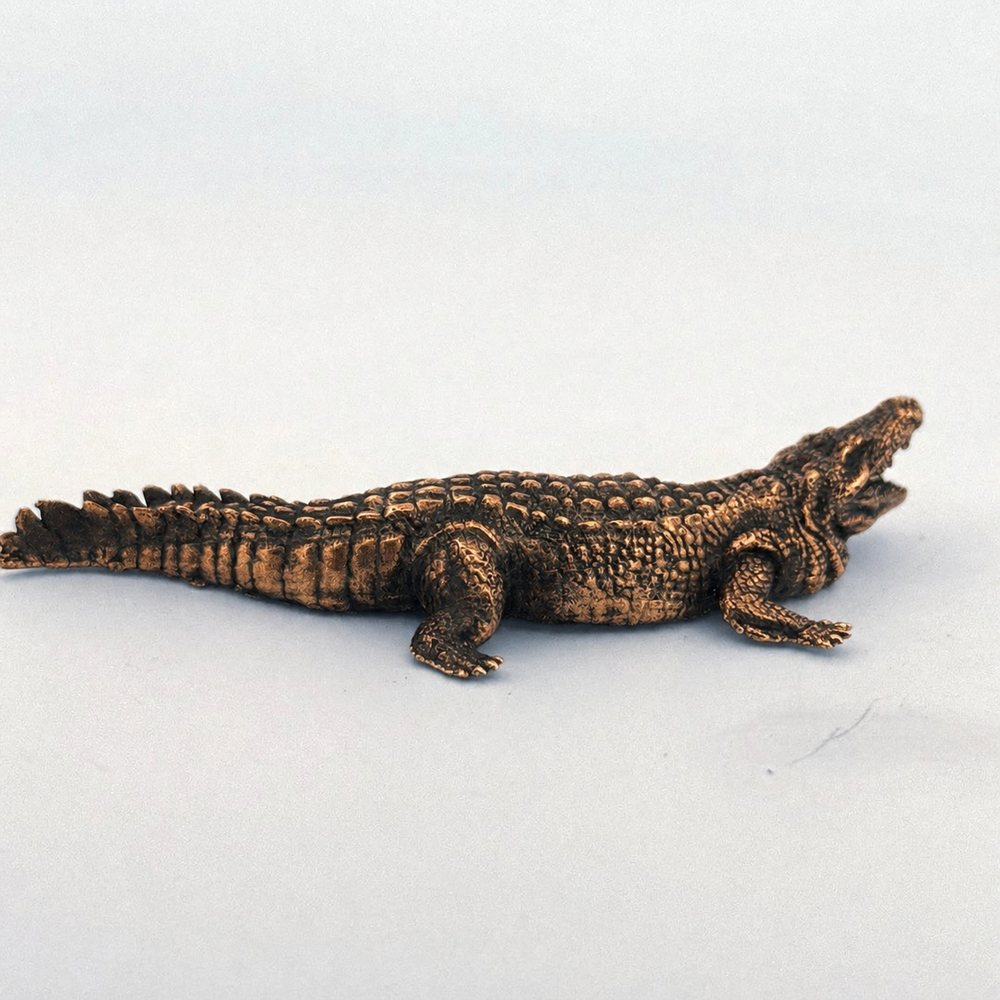 Crocodile
