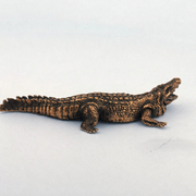 Crocodile