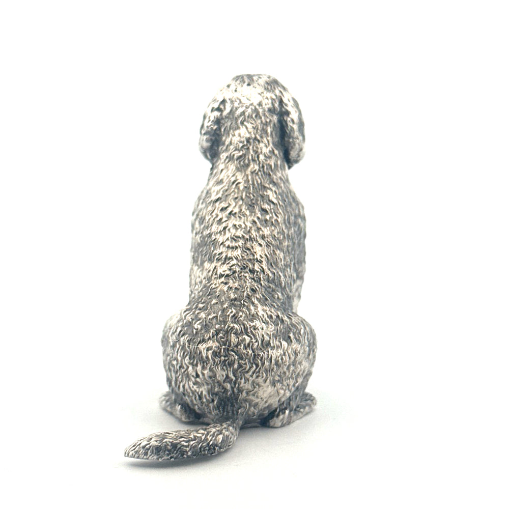 Labradoodle
