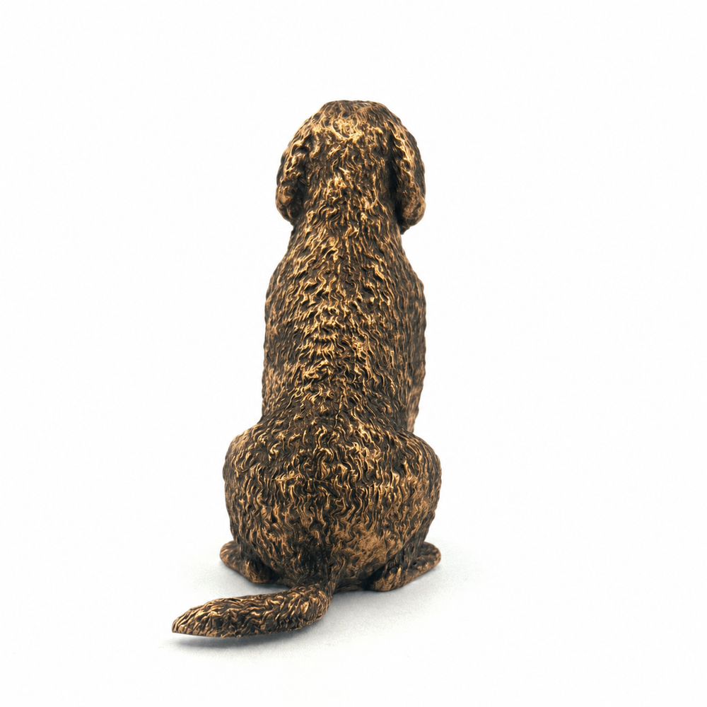 Labradoodle