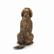 Labradoodle