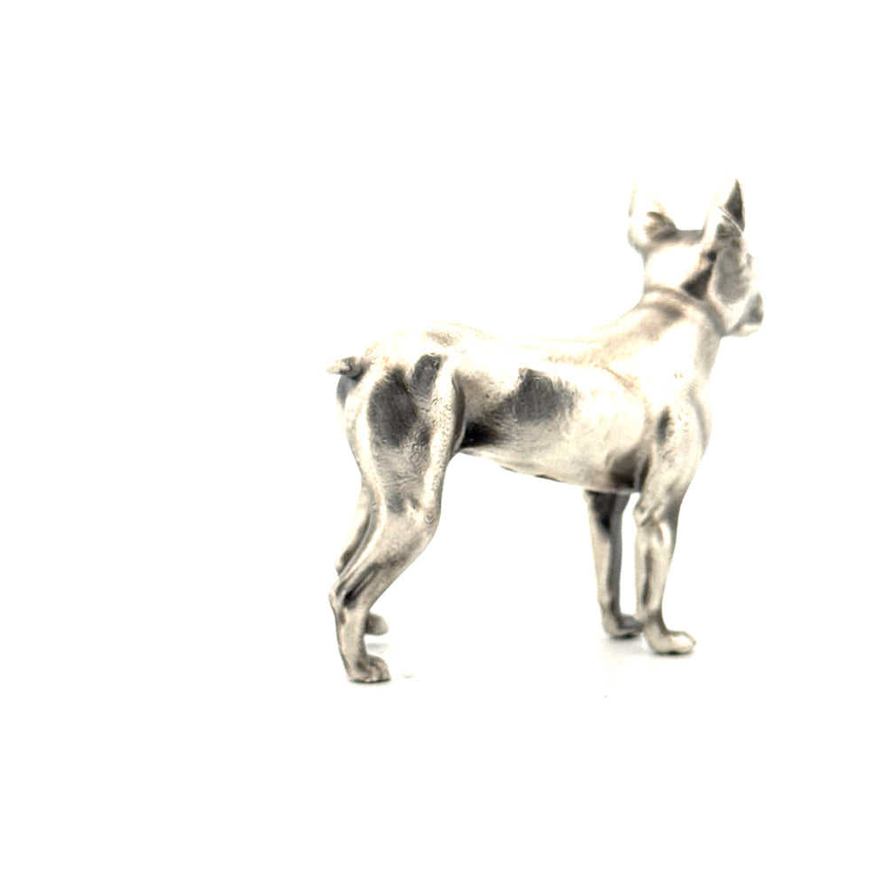 Boston Terrier V2