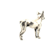Boston Terrier V2