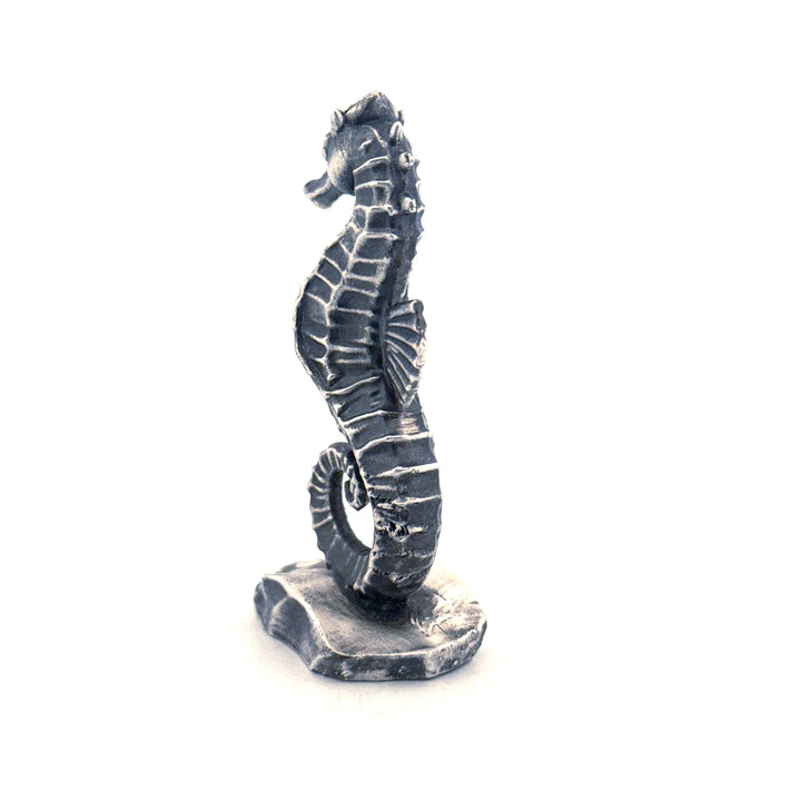 Seahorse