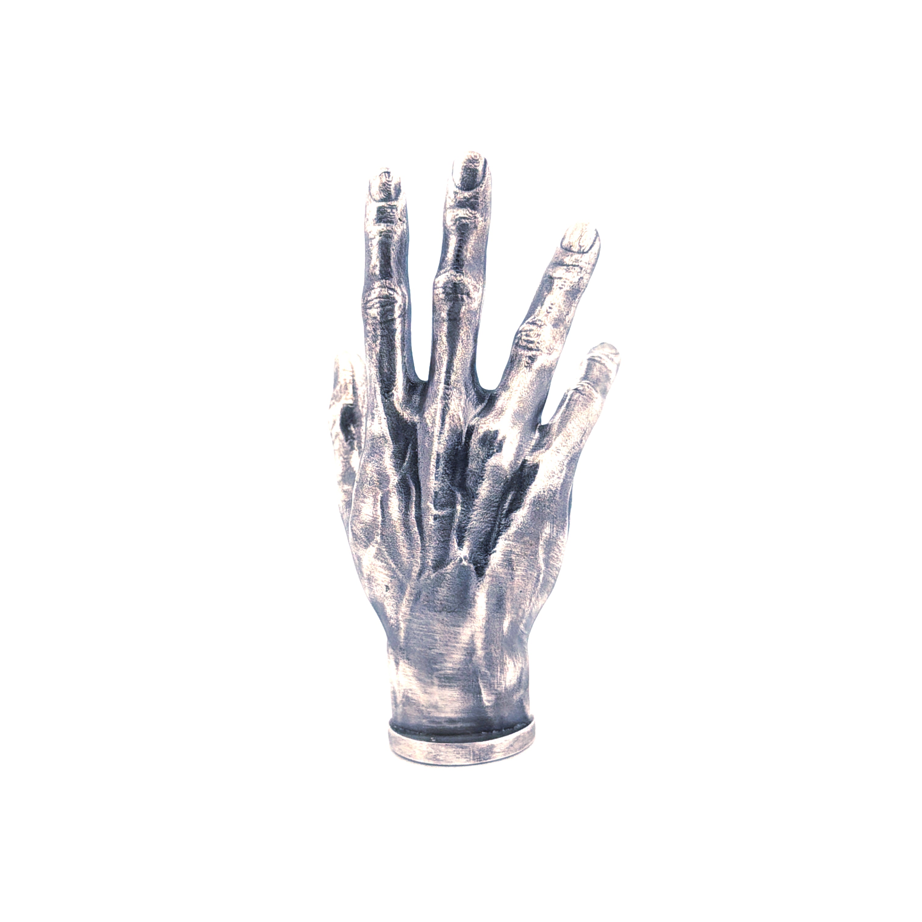 Anatomical Hand