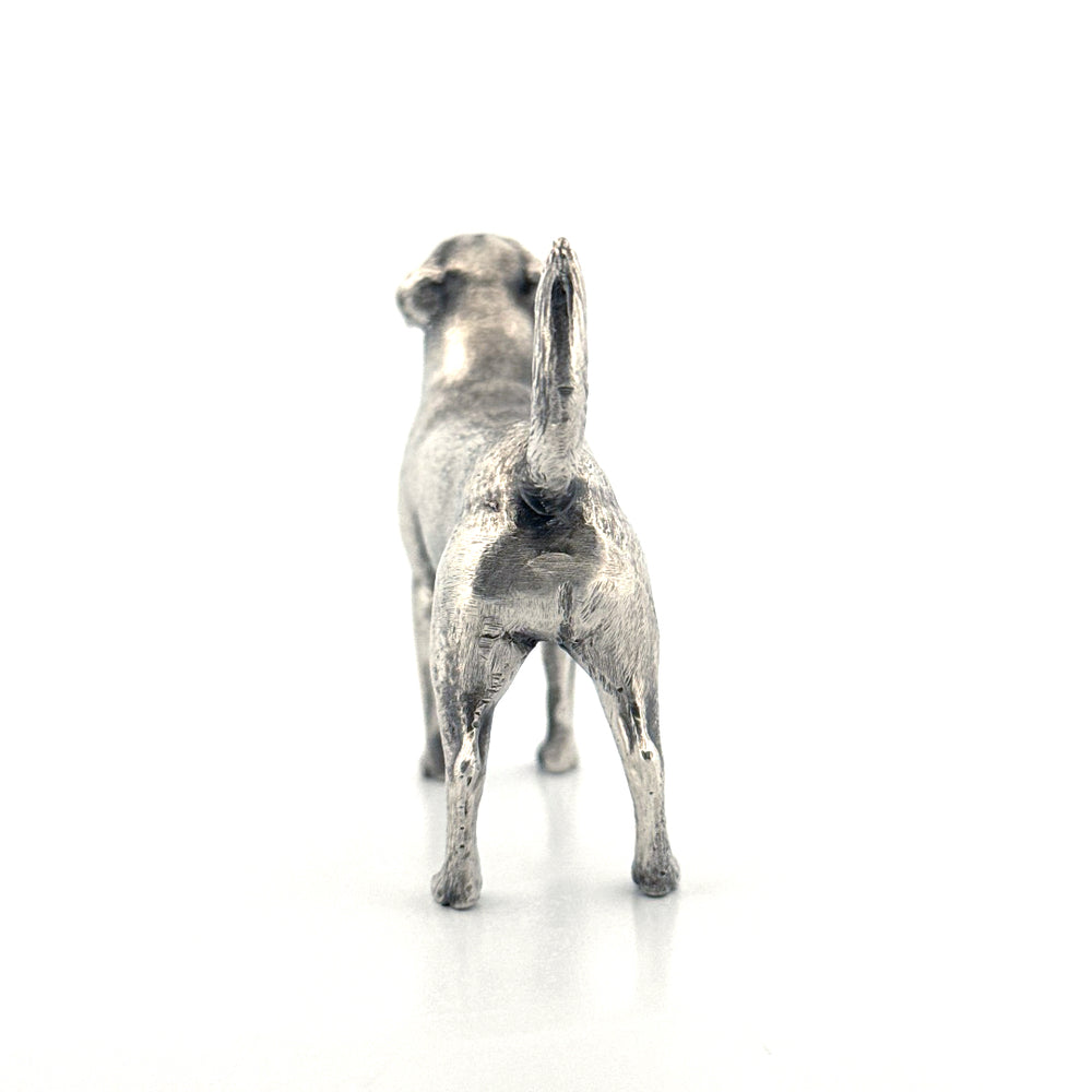 Labrador