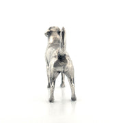 Labrador