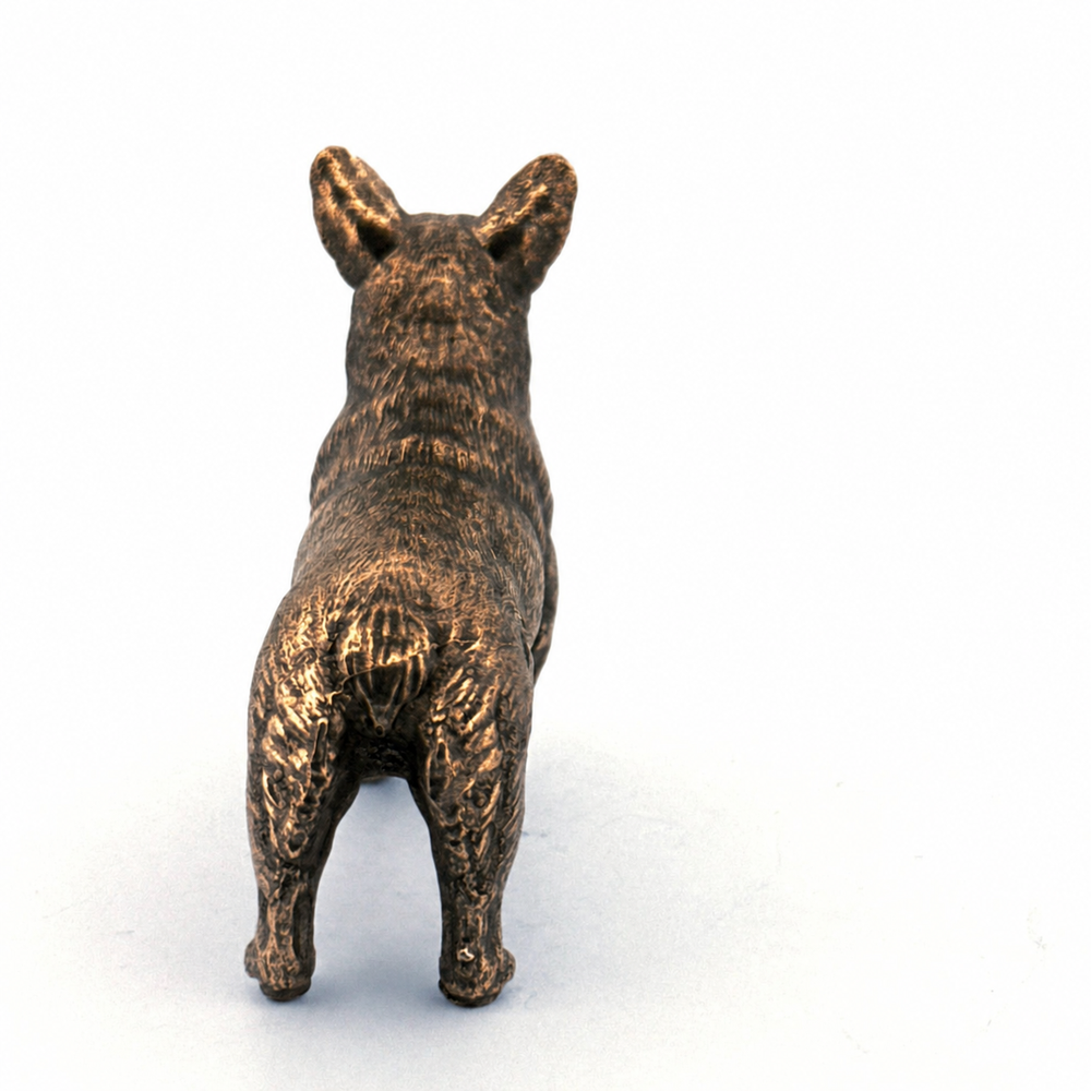 Corgi