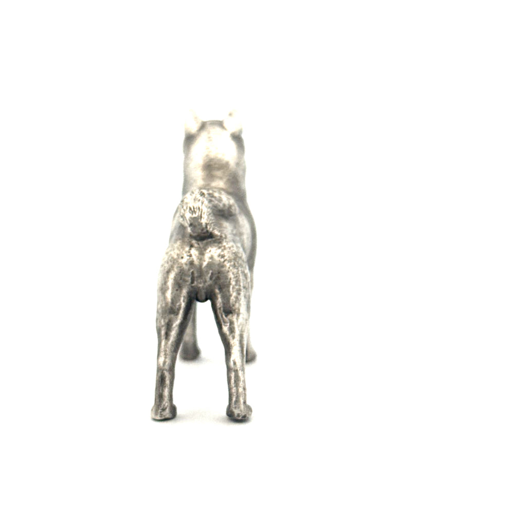Shiba