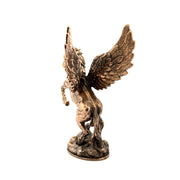 Pegasus V2
