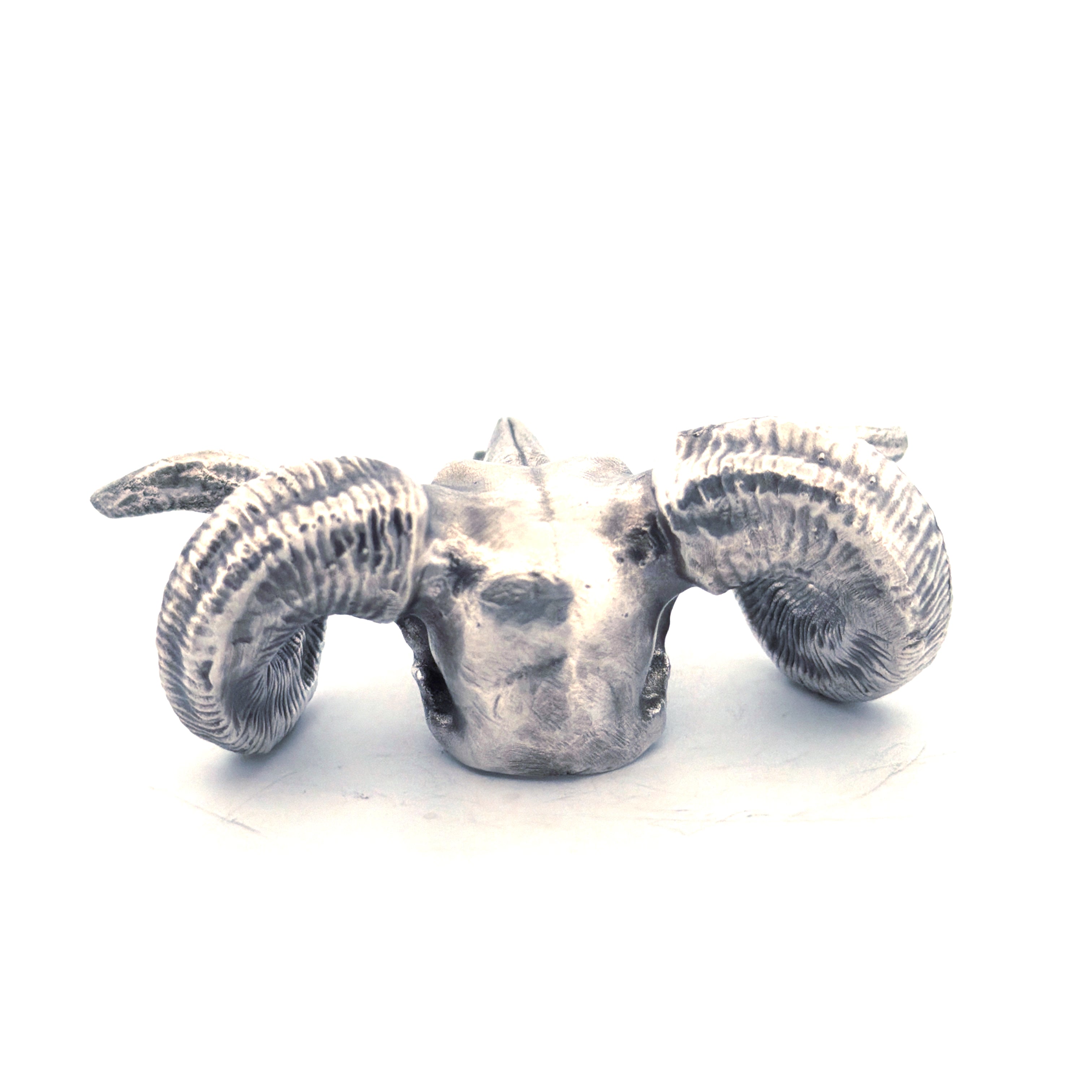 Ram Skull