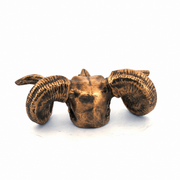 Ram Skull