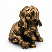 Baby Elephant