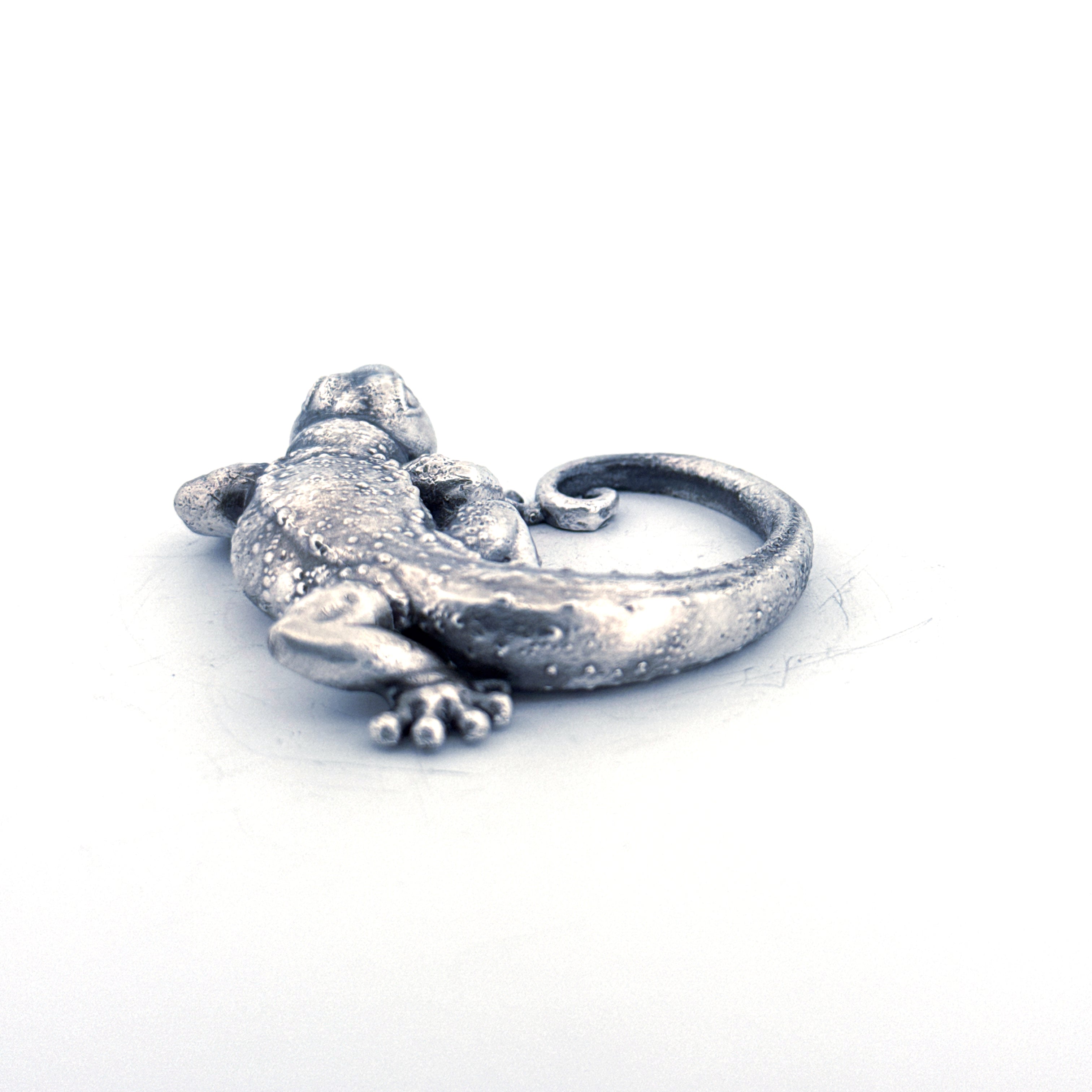 Silver Gecko