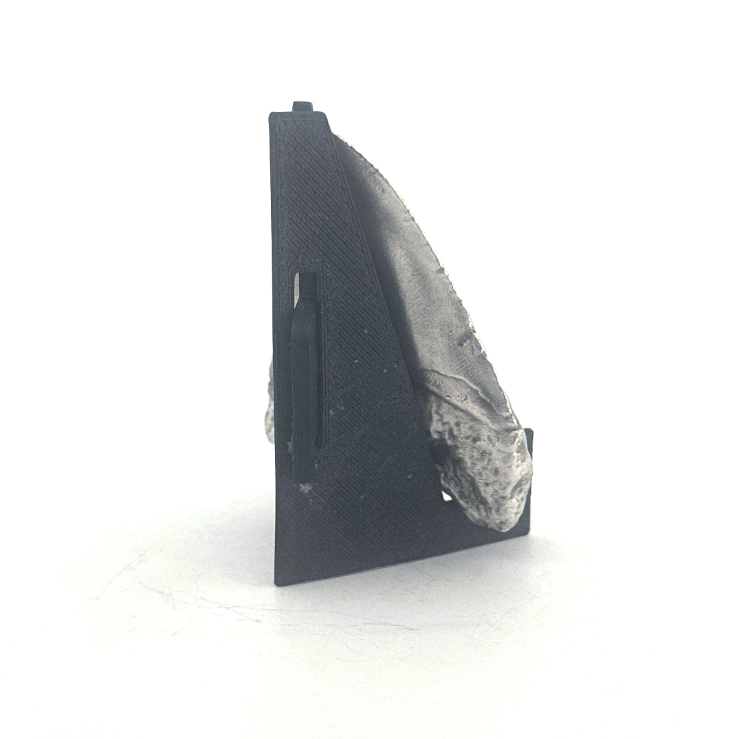 Shark Tooth