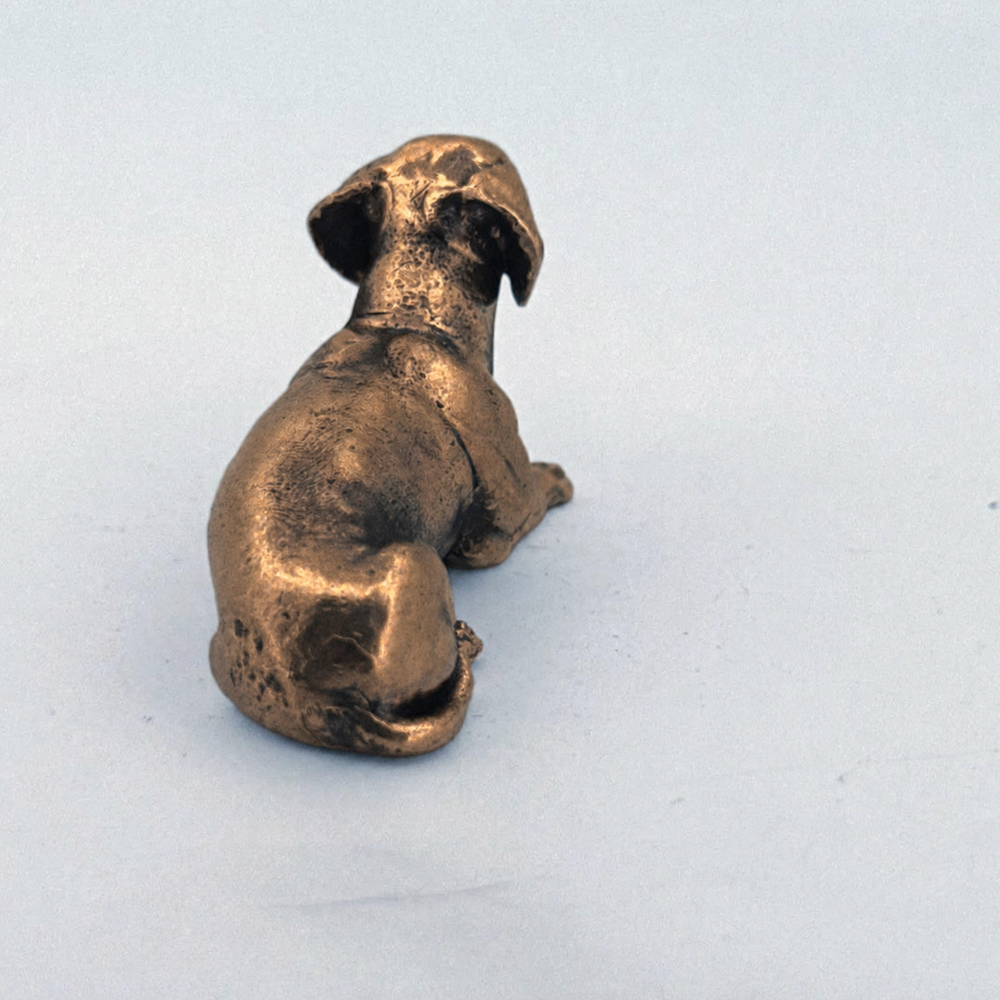 Dachshund
