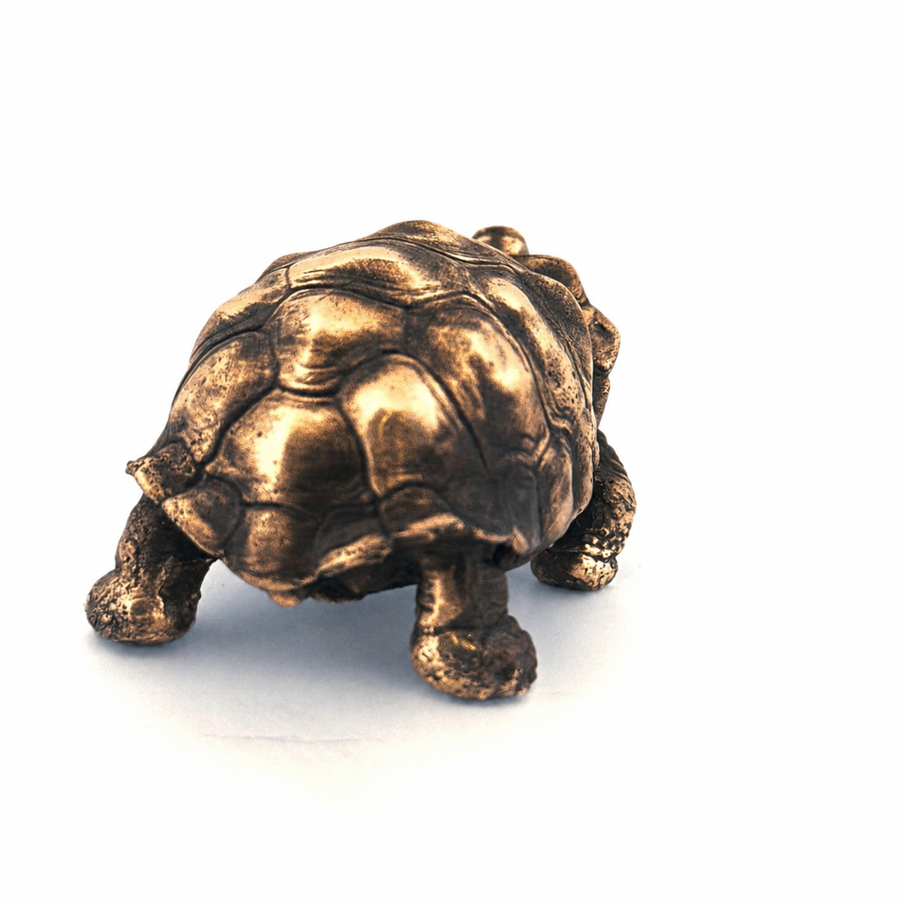 Galapagos Tortoise