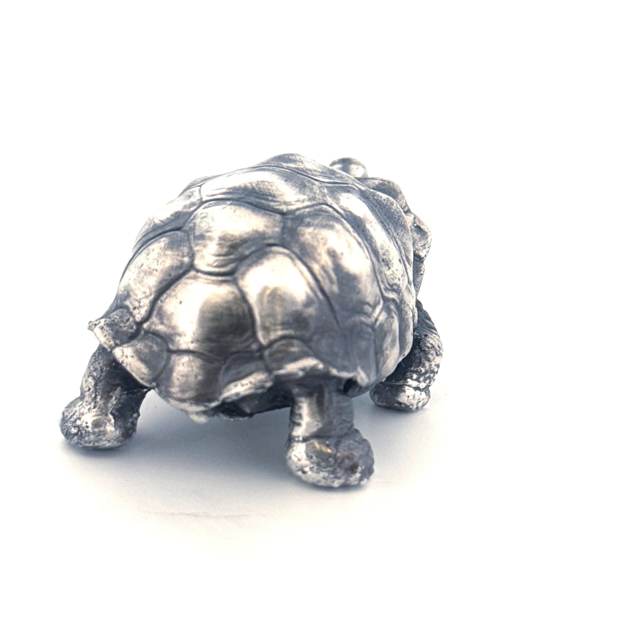 Galapagos Tortoise
