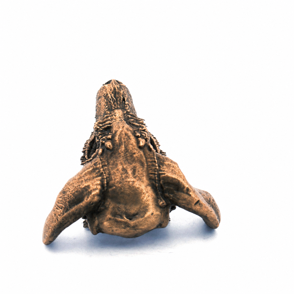Dragon Skull