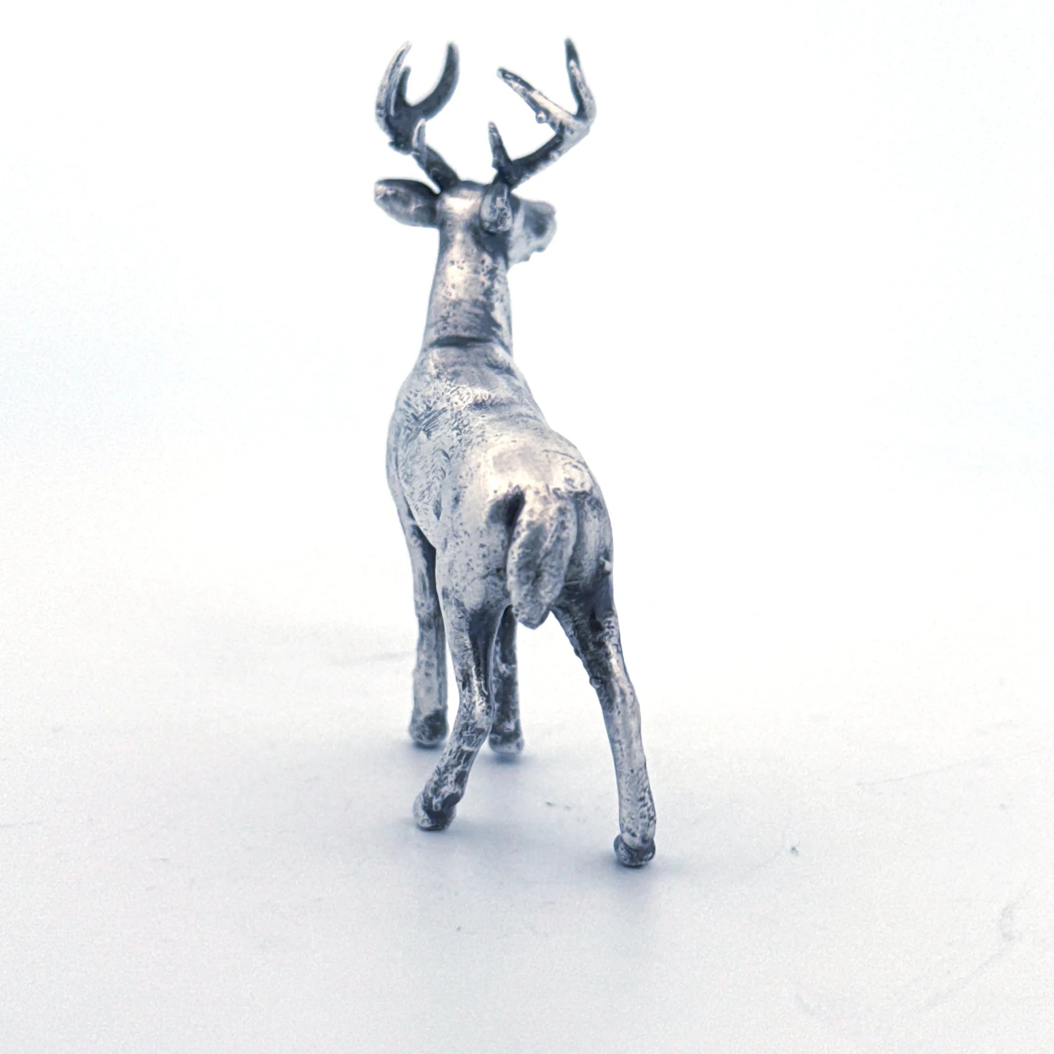 White Tailed Deer