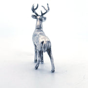 White Tailed Deer