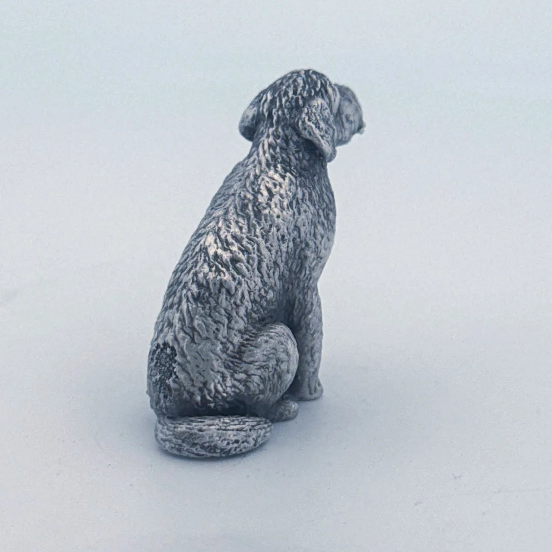 Golden Doodle