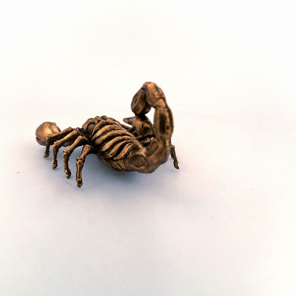 Scorpion