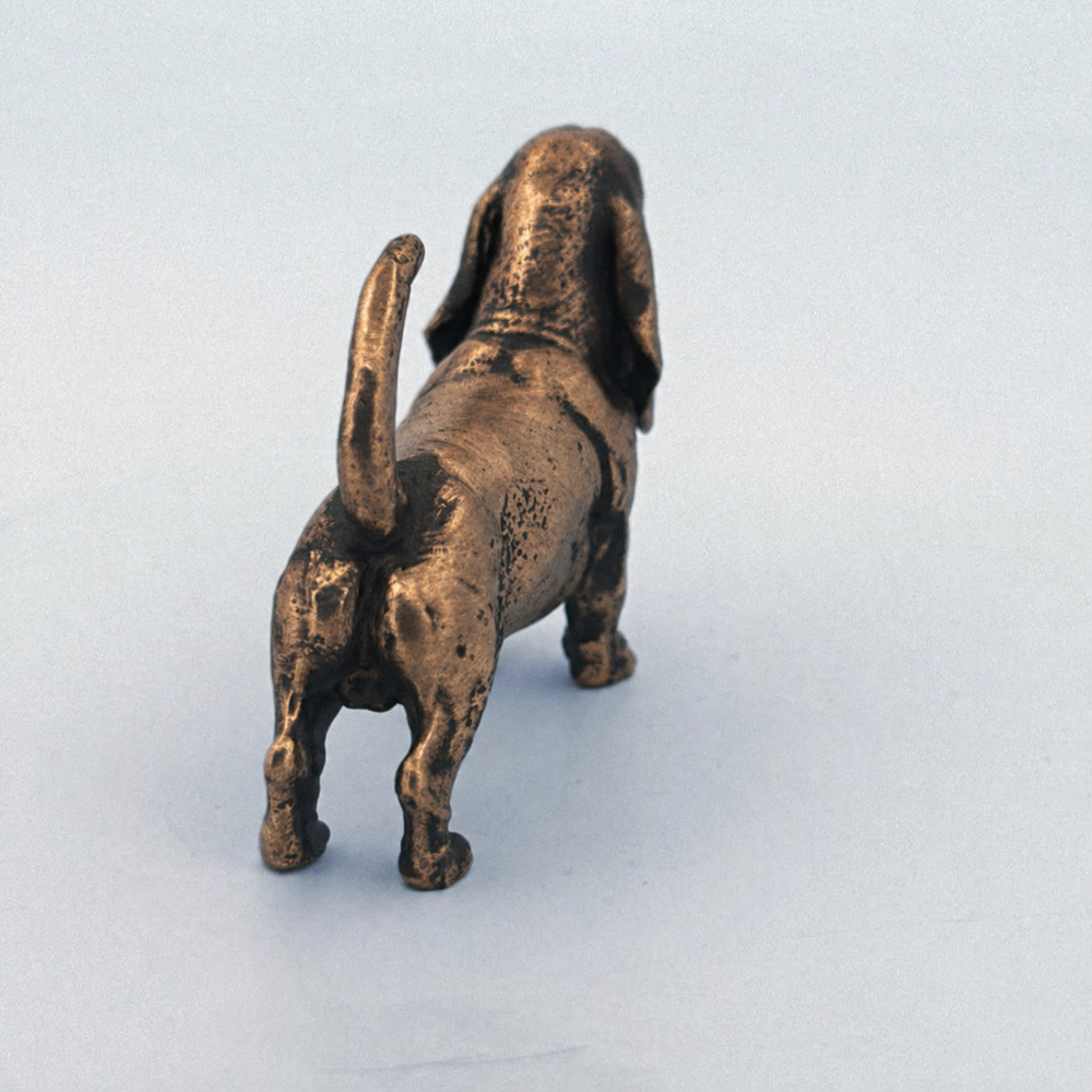 Basset Hound