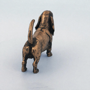 Basset Hound