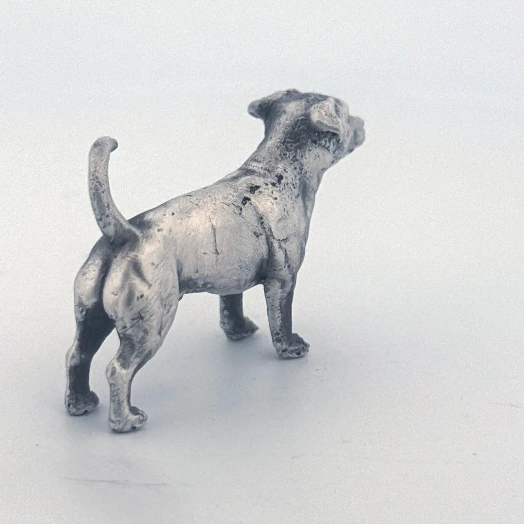 Jack Russell Terrier