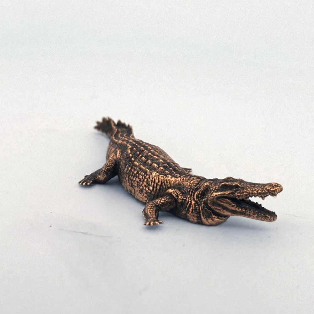 Crocodile