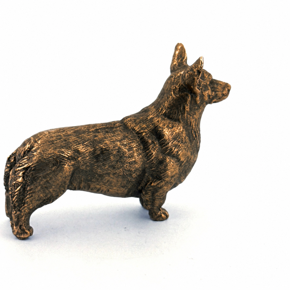 Corgi